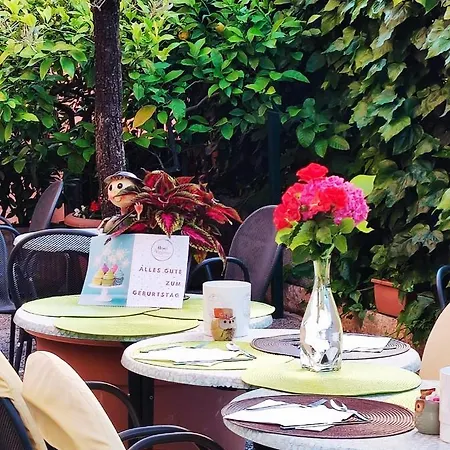 Virginia 2* 가르다