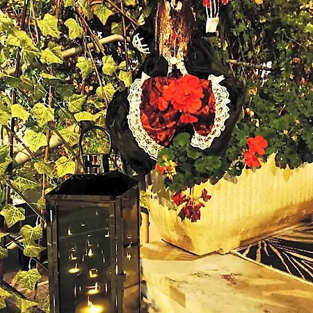 Virginia Ξενοδοχείο 2*